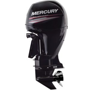 MOTOR 150L CUATRO TIEMPOS