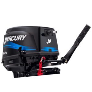 MOTOR 25M SEAPRO DOS TIEMPOS