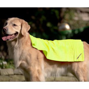 N00149 CHAMIS 27"X17" (GRANDE) NATURAL [CLONE]