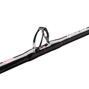 RAMBW3080C66 CAÑA RAMPAGE 6'6" - 30-80LBS - PENN [CLONE]