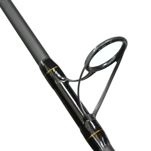 CAÑA DE SPINNING BATTALION II – PENN