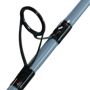 TDSF1062MFS CAÑA DE SURF TEAM DAIWA 10.6 – DAIWA