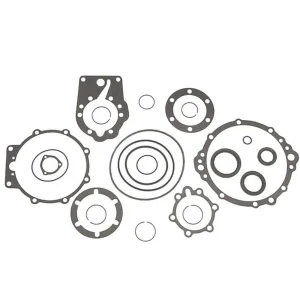 18-2590 JUEGO DE EMPAQUES Y O-RINGS PARA TRANSMISIÓN BORG WARNER - SIERRA